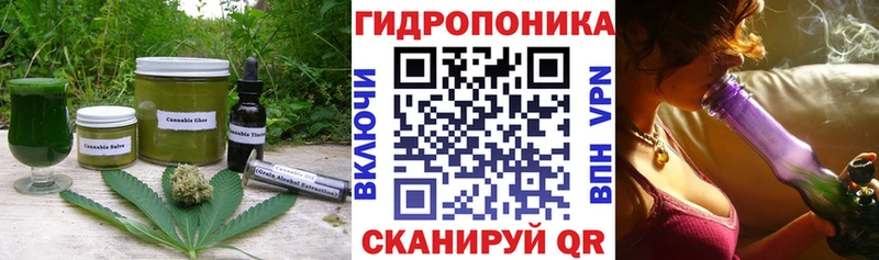 ОМГ ОМГ как зайти  Энгельс  Canna-Cookies конопля 