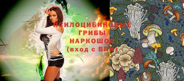 бошки Алексин