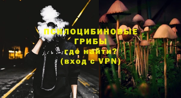 PSILOCYBIN Алексеевка