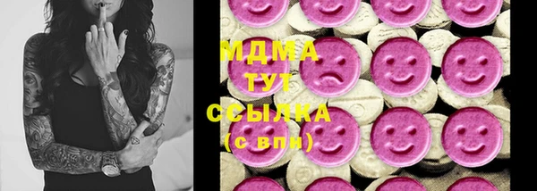 индика Алзамай
