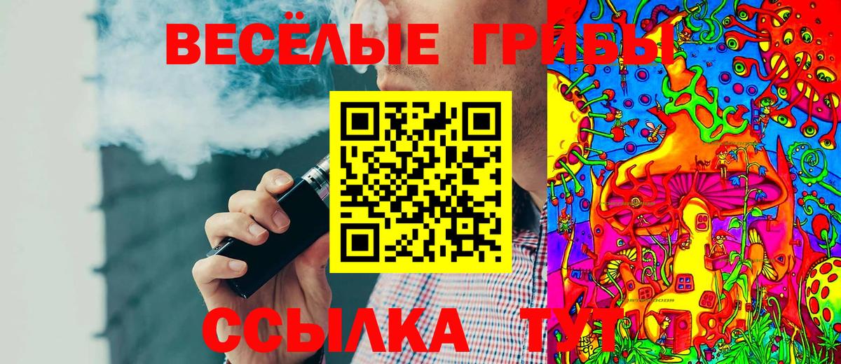 Галлюциногенные грибы Psilocybe  Галлюциногенные грибы ЛСД  Вход с VPN  Энгельс 