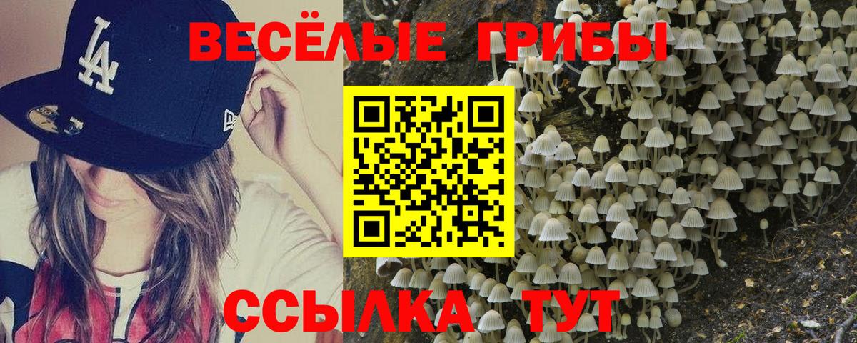 Псилоцибиновые грибы мицелий Энгельс